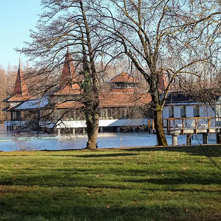 ****heviz Springs Appart hôtel 4*