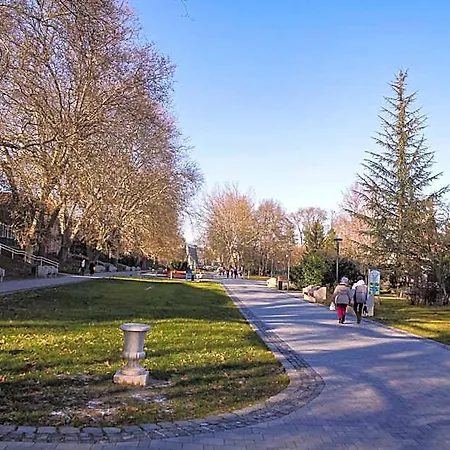 Ξενοδοχείο με διαμερίσματα ****heviz Springs