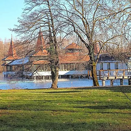 ****heviz Springs 4* Hévíz